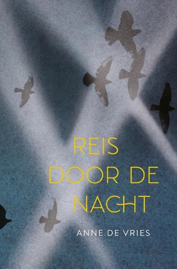 Afbeelding van Reis door de nacht