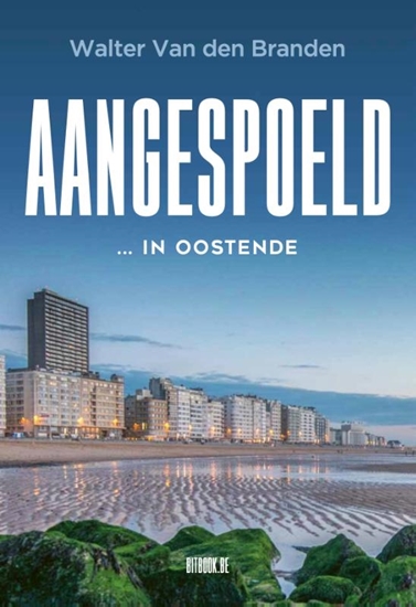 Afbeelding van Aangespoeld