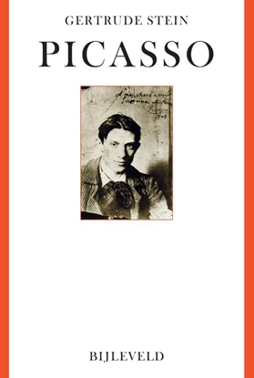 Afbeeldingen van Picasso