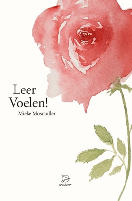 Afbeeldingen van Leer Voelen!