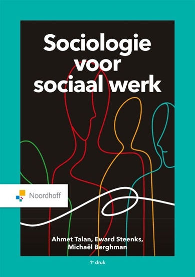 Afbeelding van Sociologie voor sociaal werk