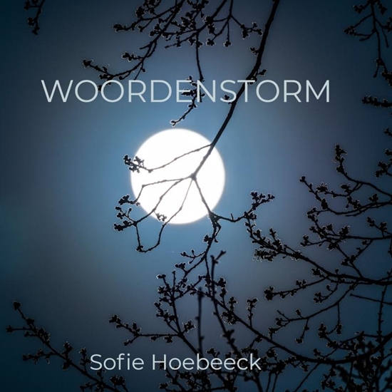 Afbeelding van Woordenstorm