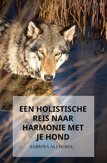 Afbeelding van Een holistische reis naar harmonie met je hond