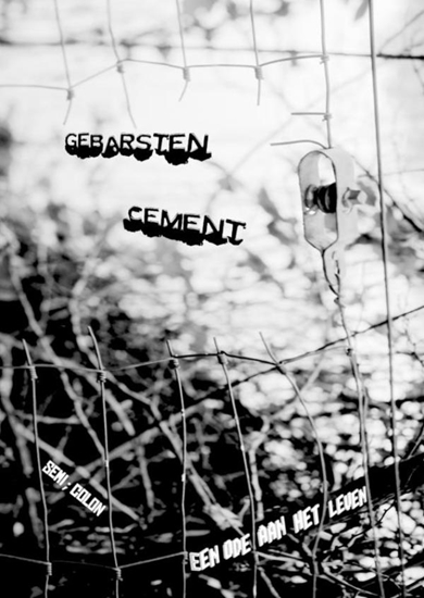 Afbeelding van Gebarsten Cement
