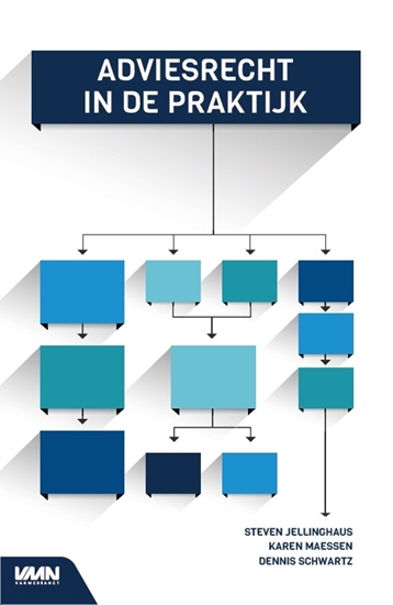 Afbeelding van Adviesrecht in de praktijk