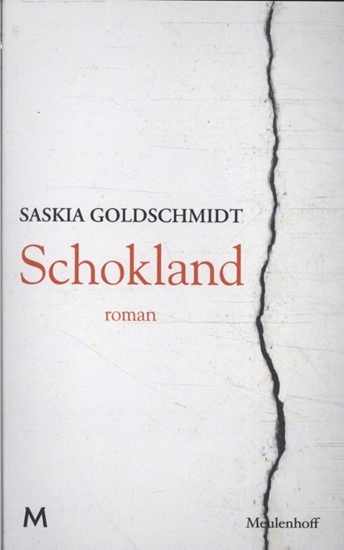 Afbeelding van Schokland
