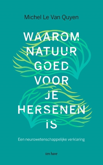 Afbeelding van Waarom natuur goed voor je hersenen is