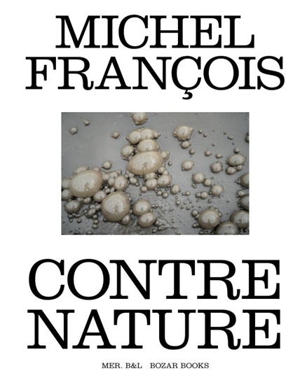 Afbeelding van Michel François. Contre nature