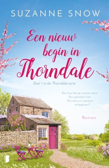 Afbeelding van Thorndale Een nieuw begin in Thorndale