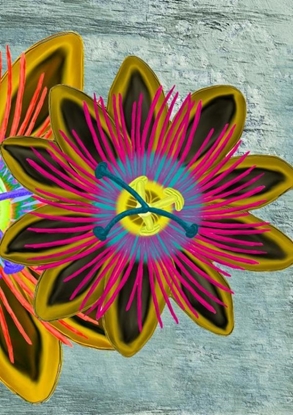 Afbeeldingen van Vriendenboek