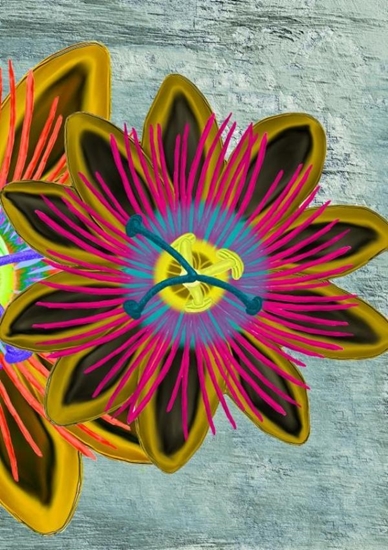 Afbeelding van Vriendenboek