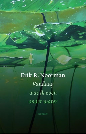 Afbeelding van Vandaag was ik even onder water