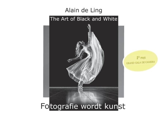 Afbeelding van The Art of Black and White 1