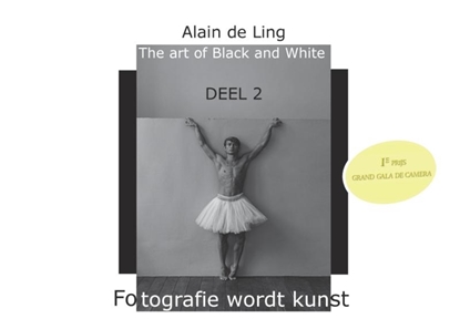 Afbeeldingen van The Art of Black and White 2