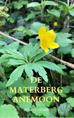 Afbeeldingen van De Materberg anemoon
