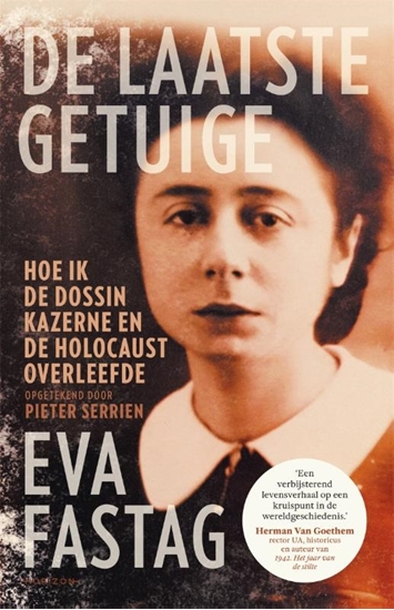 Afbeelding van De laatste getuige