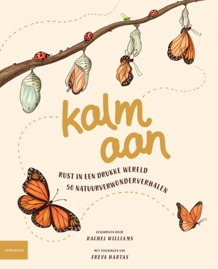 Afbeelding van Kalm aan