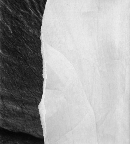 Afbeelding van In de luwte van de tijd