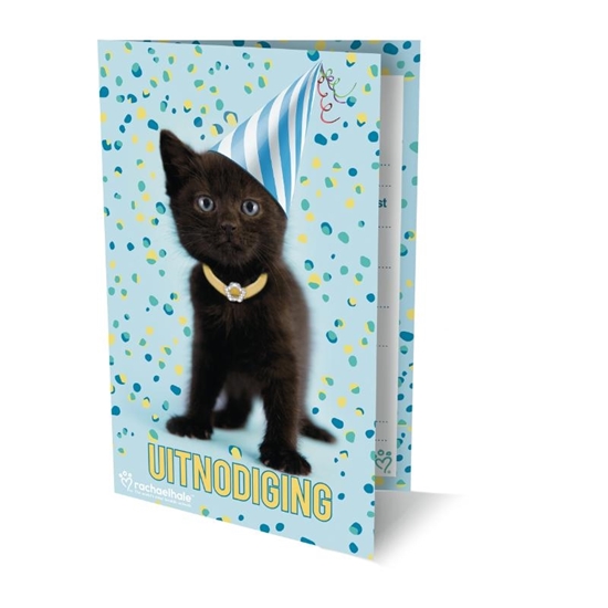 Afbeelding van RACHEL HALE KAT UITNODIGING PK938 - SET VAN 6