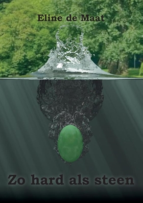 Afbeeldingen van Zo hard als steen