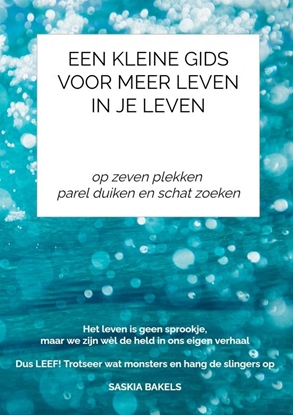 Afbeeldingen van Een Kleine Gids VOOR MEER LEVEN IN JE LEVEN