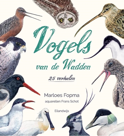 Afbeelding van Vogels van de Wadden