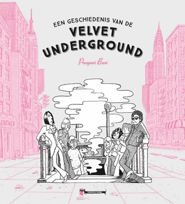 Afbeeldingen van the Velvet Underground