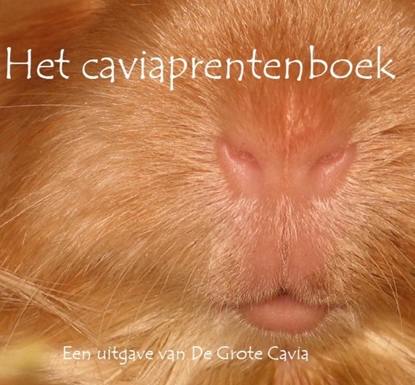 Afbeeldingen van Caviaprentenboeken Het caviaprentenboek