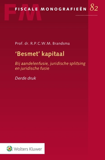 Afbeelding van Besmet kapitaal