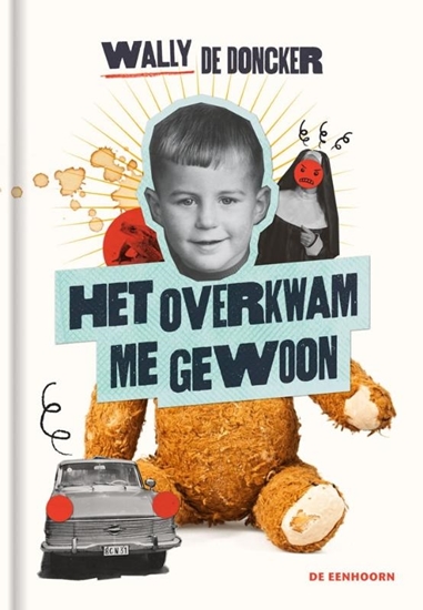 Afbeelding van Het overkwam me gewoon