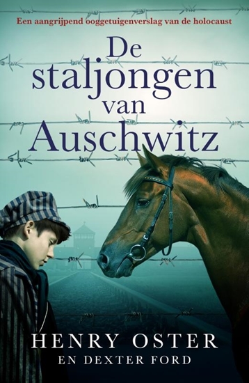 Afbeelding van De staljongen van Auschwitz