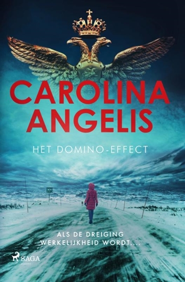 Afbeelding van Het domino-effect