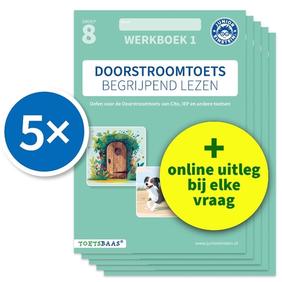Afbeelding van Doorstroomtoets Begrijpend lezen – Werkboek 1 + Online video-uitleg (set van 5)