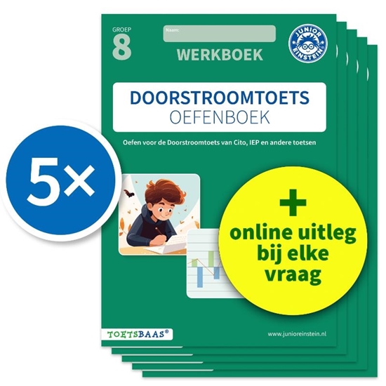 Afbeelding van Doorstroomtoets Oefenboek – Werkboek + Online video-uitleg (set van 5)
