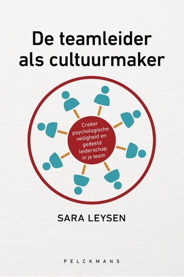 Afbeelding van De teamleider als cultuurmaker