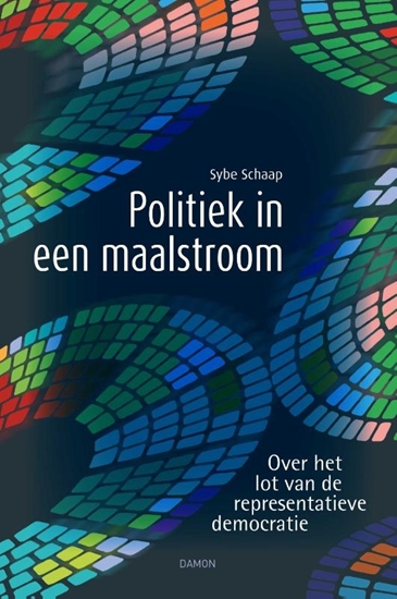 Afbeelding van Politiek in een maalstroom