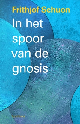 Afbeeldingen van In het spoor van de gnosis