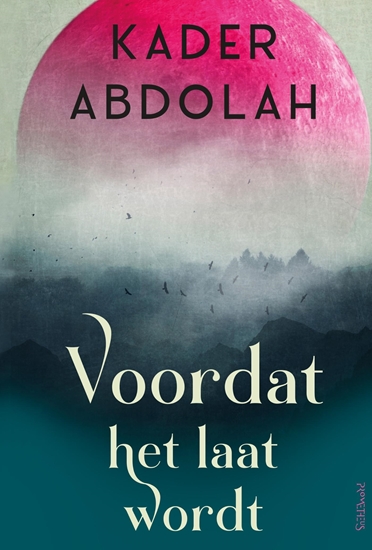 Afbeelding van Voordat het laat wordt