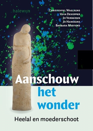 Afbeelding van Aanschouw het wonder