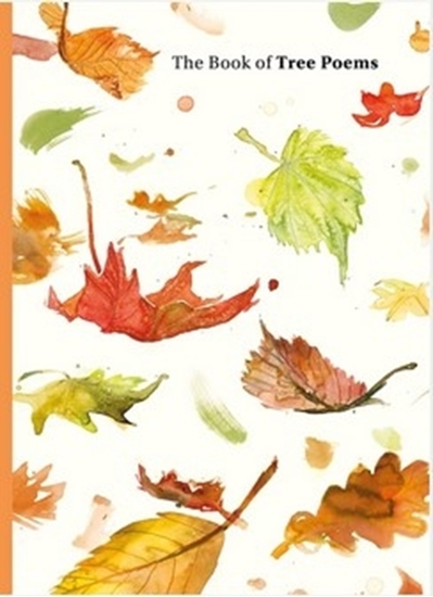 Afbeelding van 9781399609098