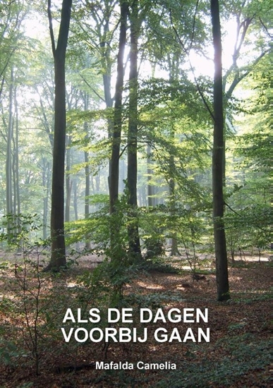 Afbeelding van 9789081208536