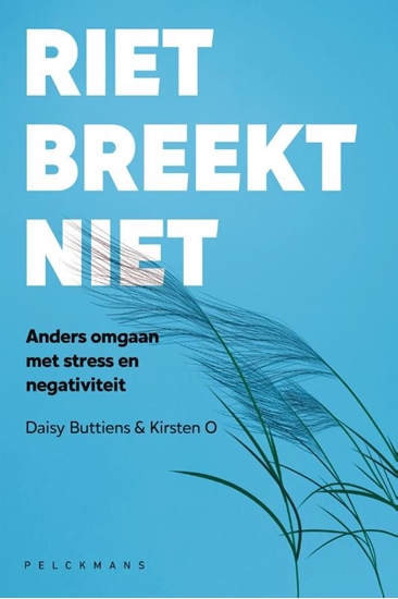 Afbeelding van Riet breekt niet