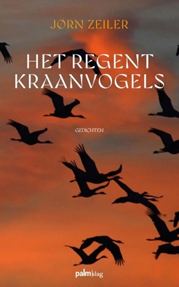 Afbeeldingen van Het regent kraanvogels