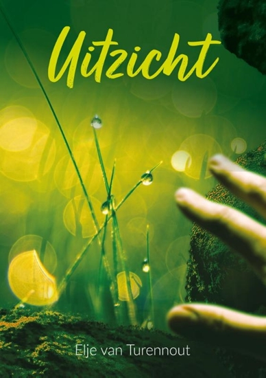 Afbeelding van Uitzicht