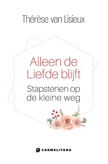 Afbeelding van Alleen de liefde blijft