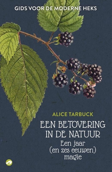 Afbeelding van Een betovering in de natuur