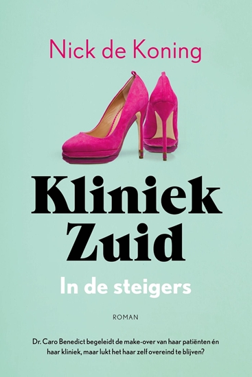 Afbeelding van Kliniek Zuid In de steigers