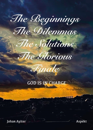 Afbeelding van The Beginnings, The Dilemmas, The Solutions, The Glorious Finale