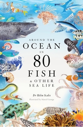 Afbeeldingen van Around the Ocean in 80 Fish and other Sea Life