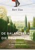 Afbeelding van De balanceeract die geloven heet